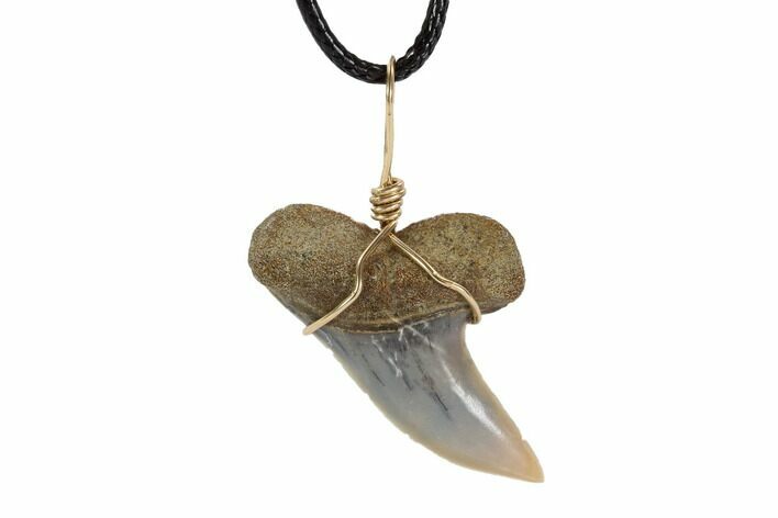 Fossil Mako Tooth Necklace - Bakersfield, California #95241